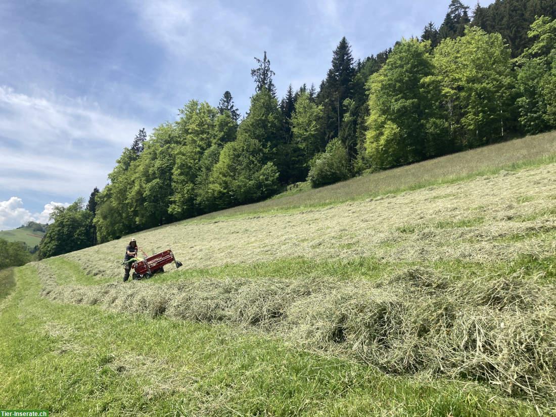 Heu, Emd, Ökoheu ab Feld oder ab Stock