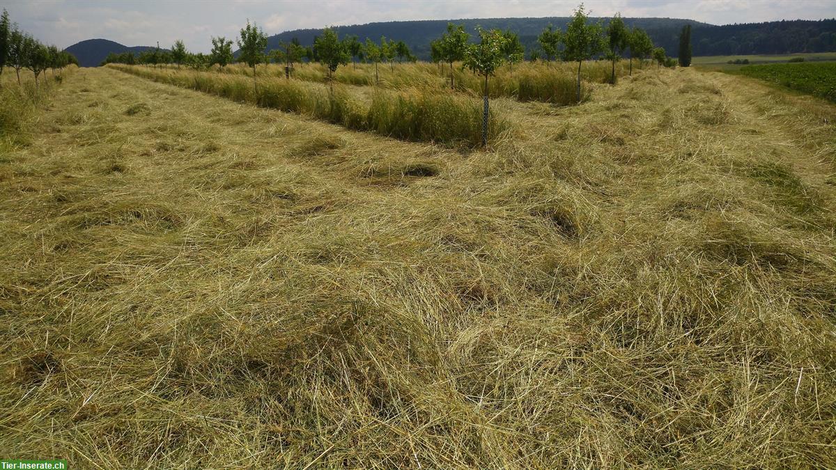 Bild 3: Bio Oekoheu Rundballen, Ernte Juni 23 und Juni 24