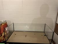 Schildkröten Glasterrarium 120x60x35cm zu verkaufen