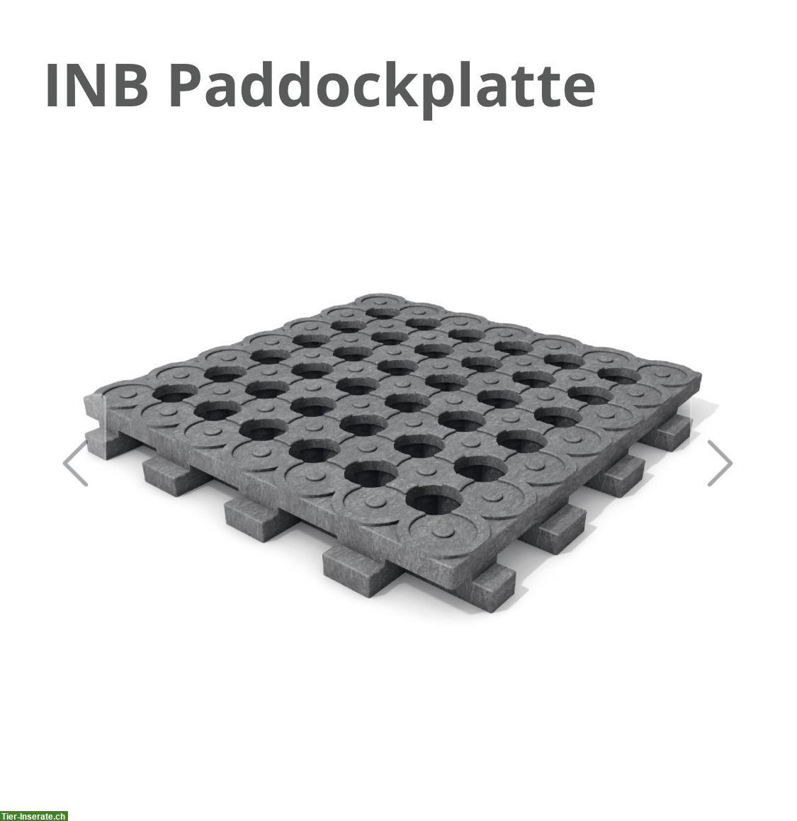 NEU: INB Paddockplatten 140m2 zu verkaufen