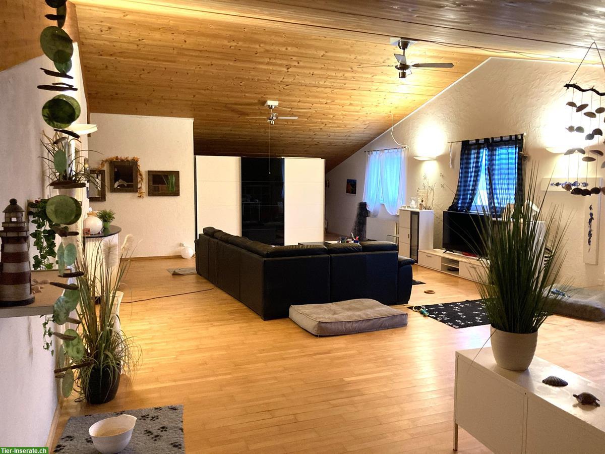 Bild 3: Naturnahe Loft-Wohnung für (Viel-) Hundehalter oder Pferdehalter