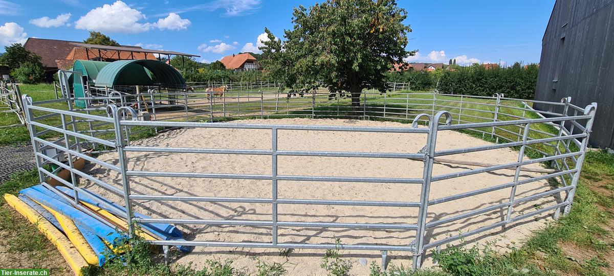 Bild 3: Pferdeboxe mit täglichem Auslauf zu vermieten in Epsach BE