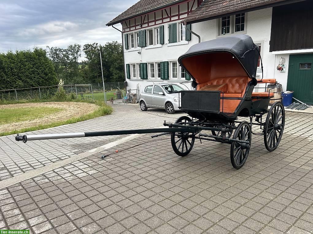 Bild 3: Kutsche Französischer Phaeton zu verkaufen