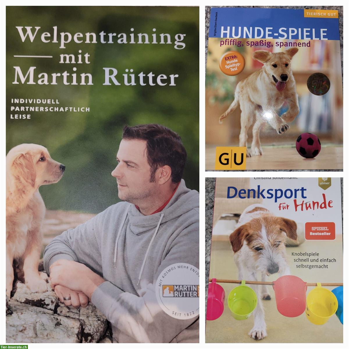 Bücher Hundeerziehung, 3er-Hundebücher Set