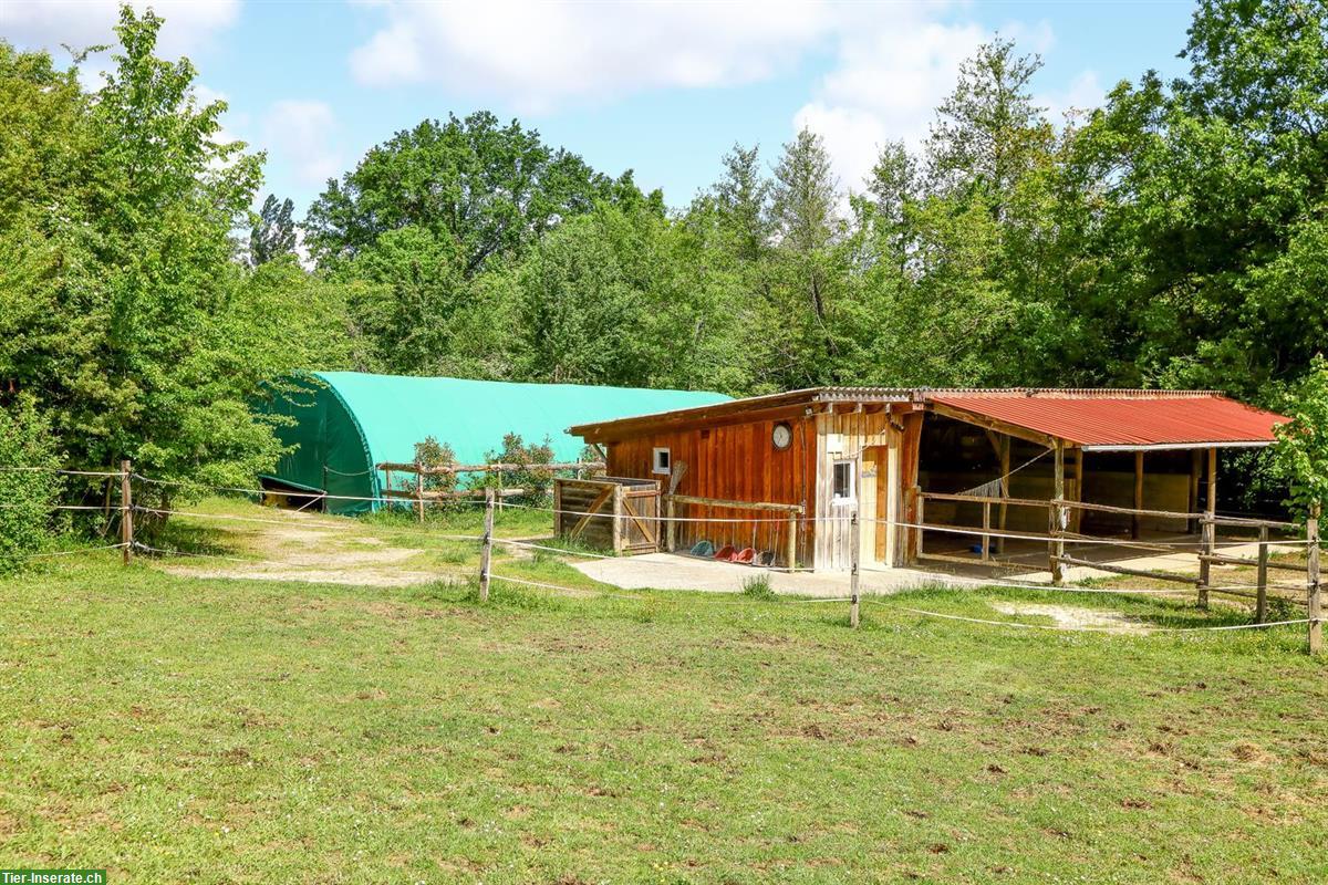 Bild 5: Pferdefarm für Elektrosensible - ein Paradies in SW-Frankreich