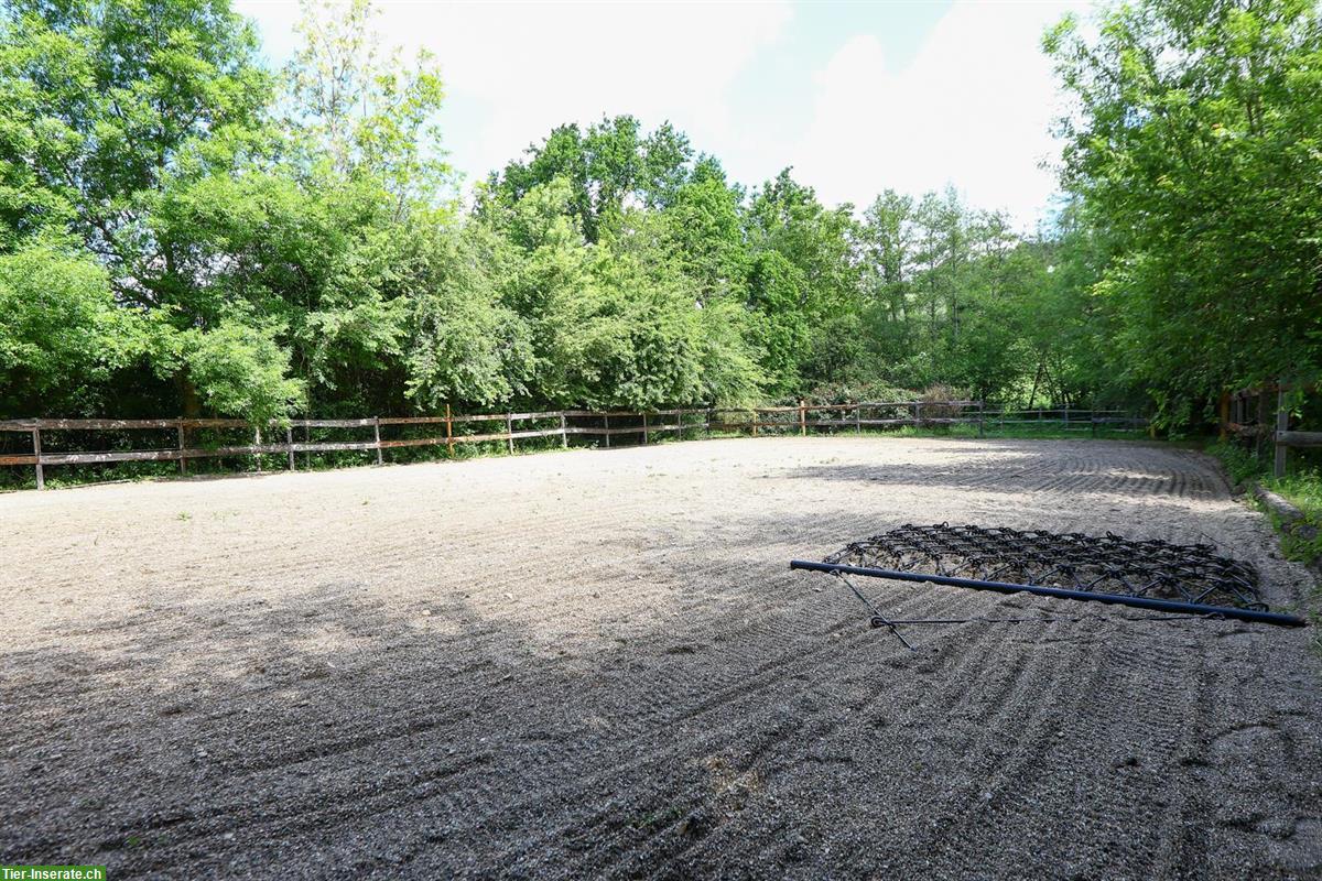 Bild 6: Pferdefarm für Elektrosensible - ein Paradies in SW-Frankreich