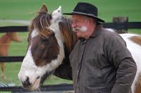 Horsemanship Kurs für alle Reitarten & Reiter jedes Niveaus