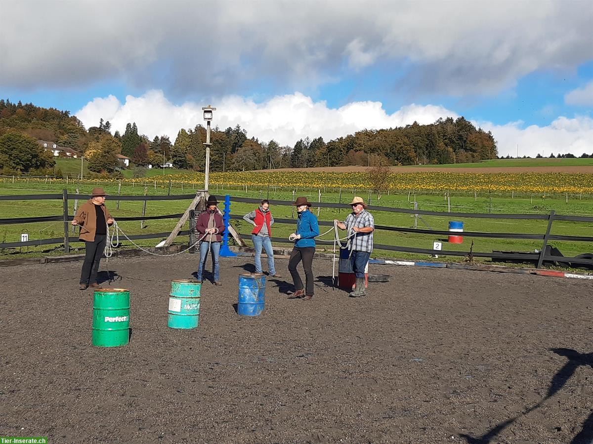 Bild 3: Horsemanship Kurs für alle Reitarten & Reiter jedes Niveaus