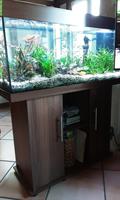 Aquarium komplett mit Unterschrank, Fische, Zubehör