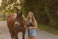 Suche eine Reitbeteiligung im Rafzerfeld