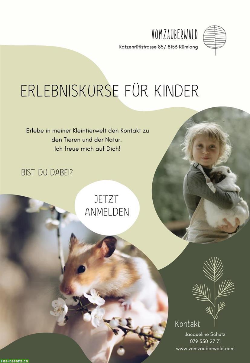 Kleintierwelt Erlebniskurse für Kinder