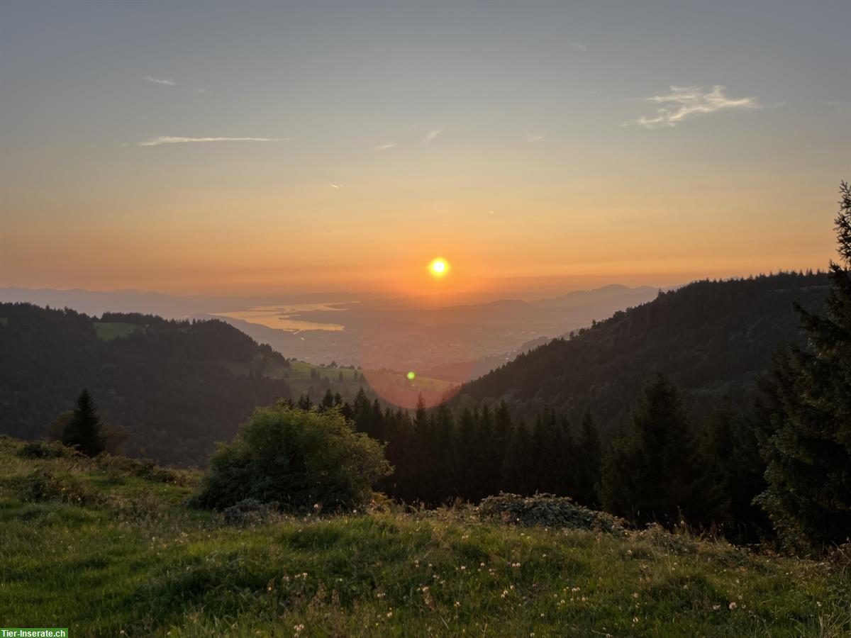 Abgelegenes Haus gesucht in der Natur