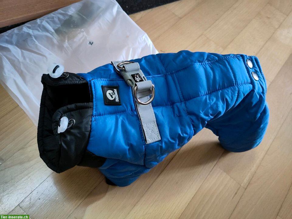 Bild 4: NEU: Winter Hundemantel Overall Schneeanzug, Grösse S