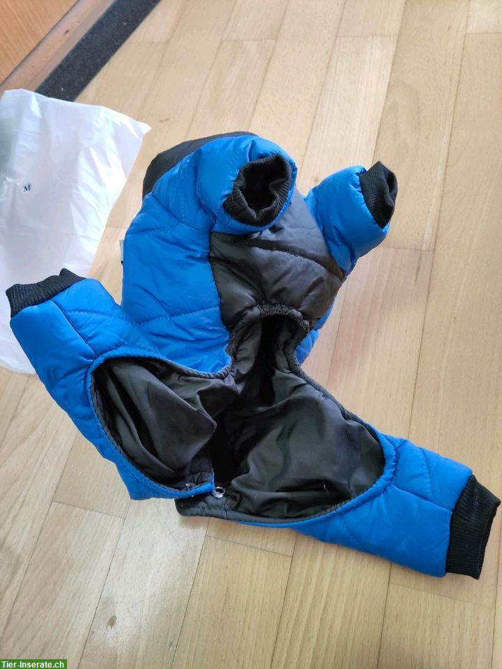 Bild 5: NEU: Winter Hundemantel Overall Schneeanzug, Grösse S