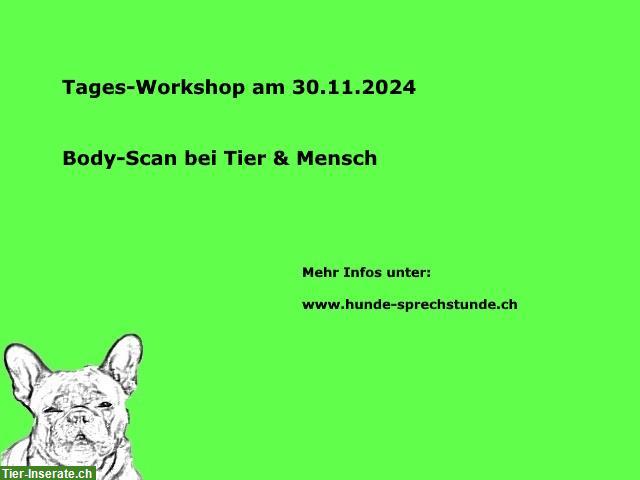 Workshop: Body-Scan bei Tier & Mensch