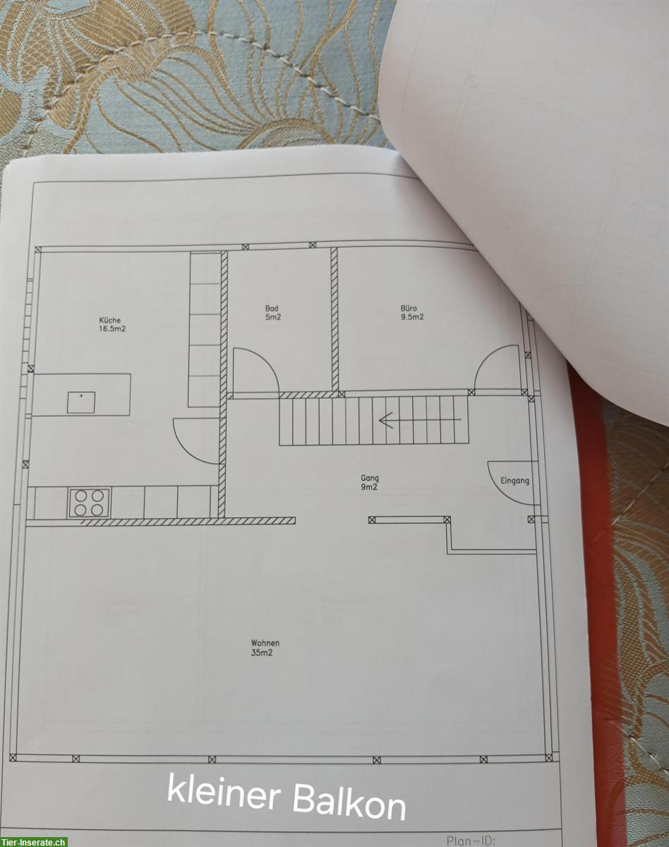 Bild 6: Suchen Nachmieter für 6.5 Zi. Hausteil mit grossem Garten