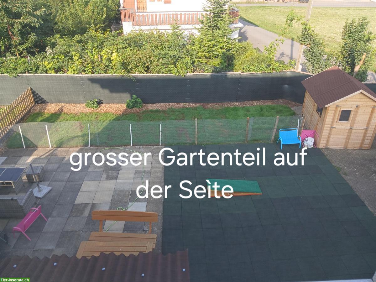 Bild 8: Suchen Nachmieter für 6.5 Zi. Hausteil mit grossem Garten