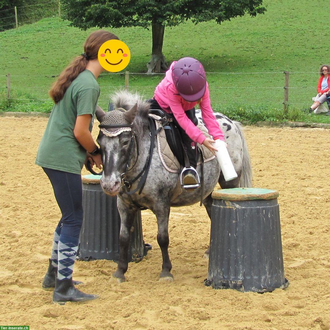 Pony Club Bonnie Ponies für Kinder