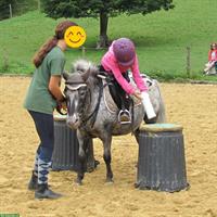 Pony Club Bonnie Ponies für Kinder