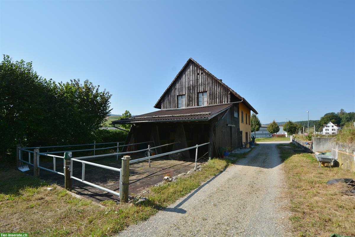 Spannendes Zuhause für Heimwerker & Tierliebhaber | Landwirtschaftszone