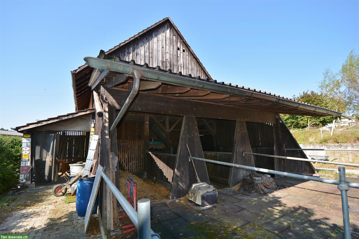 Bild 3: Spannendes Zuhause für Heimwerker & Tierliebhaber | Landwirtschaftszone