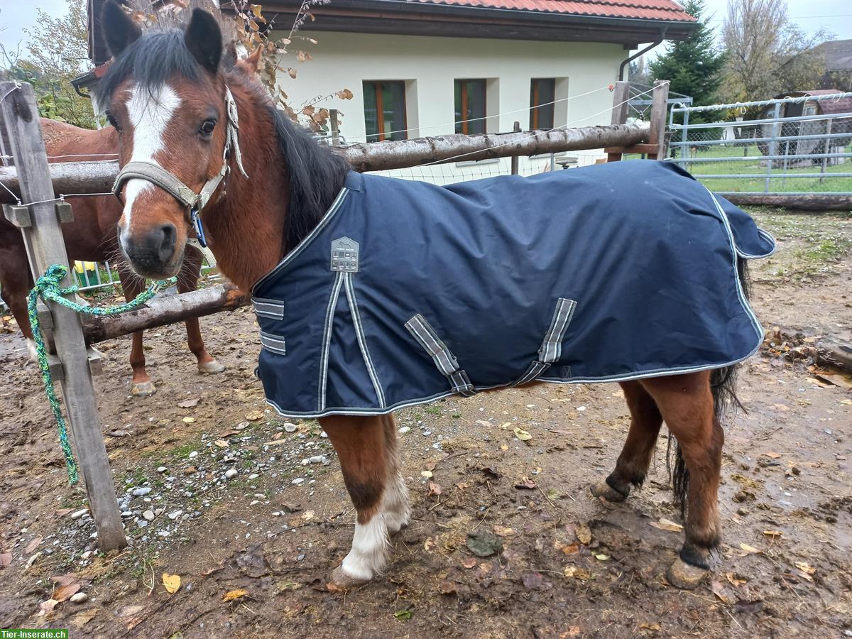 Winterdecke, Outdoordecke Pony 105cm