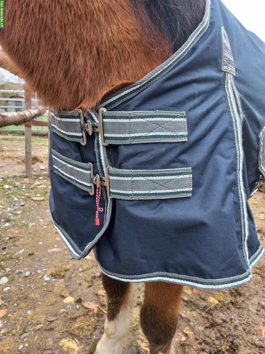 Bild 2: Winterdecke, Outdoordecke Pony 105cm