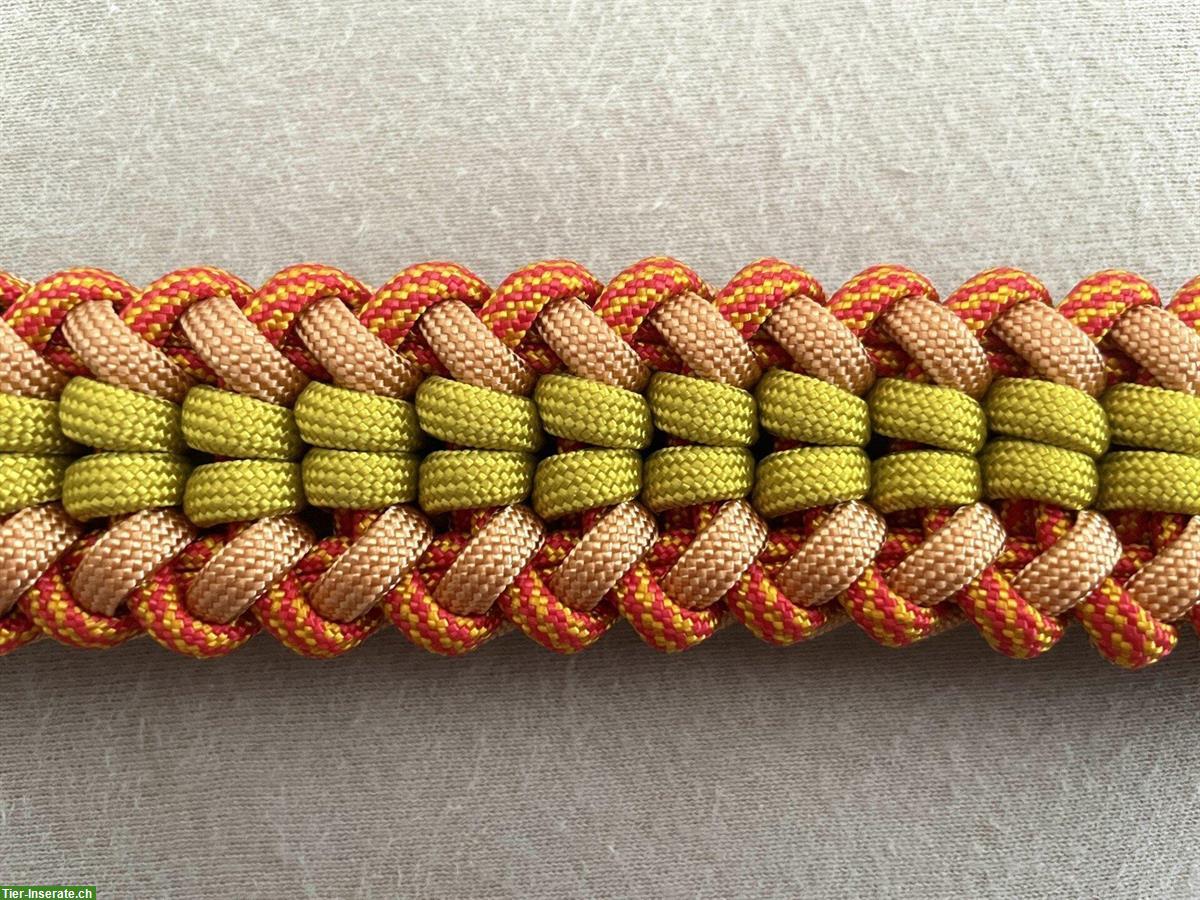 Bild 3: Hundehalsband dreifarbig aus Paracord - 35cm