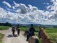 Kinderferien / Reitferien auf dem Ponyhof im Aargau