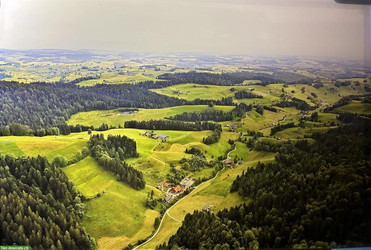 Vermiete Selbstversorgerstall mit Wohnmöglichkeit, Kanton Luzern