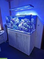 Meerwasseraquarium 120x60x60cm komplett zu verkaufen