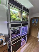 Kompletter Terrarium Turm mit Regenanlage & Beleuchtung