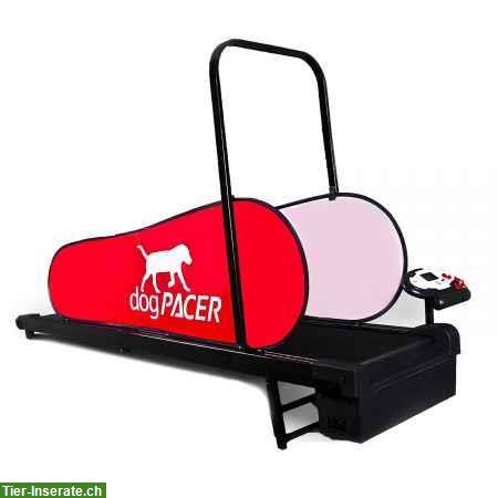 dogPACER™ Hundelaufband LF 3.1 gebraucht, fast NEU!