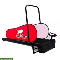 dogPACER™ Hundelaufband LF 3.1 gebraucht, fast NEU!