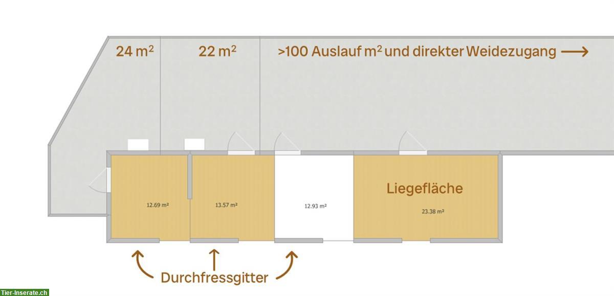 Bild 5: Pensionsplätze in Spreitenbach (Einzel & Gruppe) ab Mitte Oktober