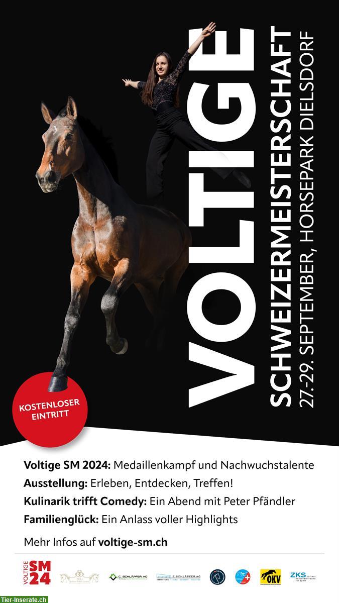 Voltige Schweizermeisterschaft & Messe am 28./29.9. Dielsdorf ZH