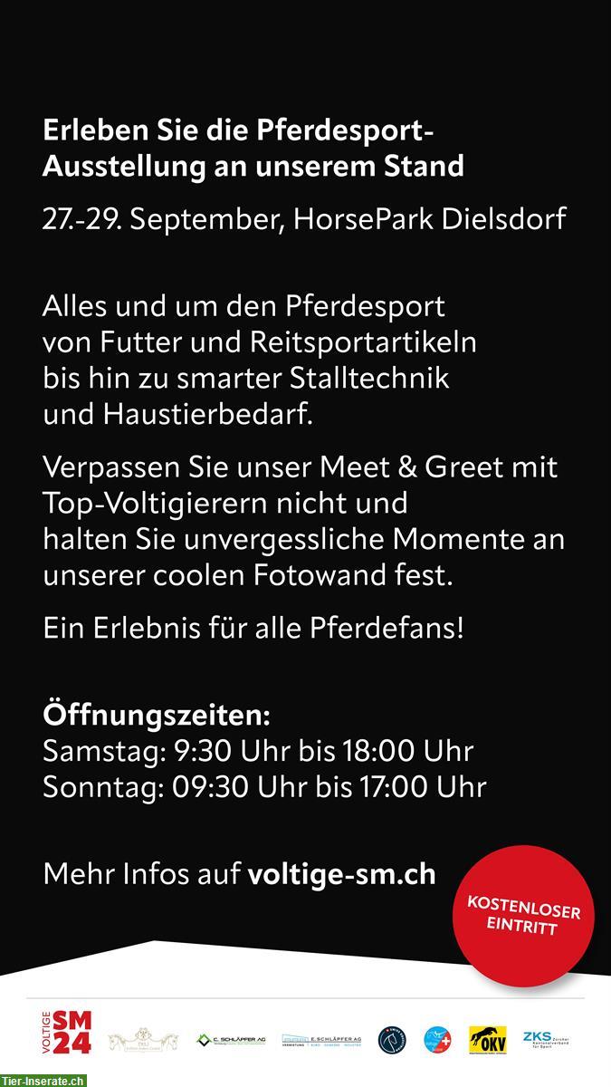 Bild 2: Voltige Schweizermeisterschaft & Messe am 28./29.9. Dielsdorf ZH