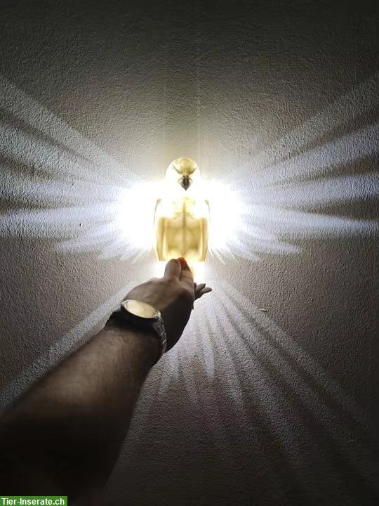 Bild 2: 3D Wandlicht Lampe Beleuchtung Adler oder Eule Gratisversand