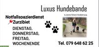 Notfall Hundespazierdienst mit Luxus