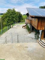 Offenstallplatz in Werthenstein Luzern ab Ende Oktober