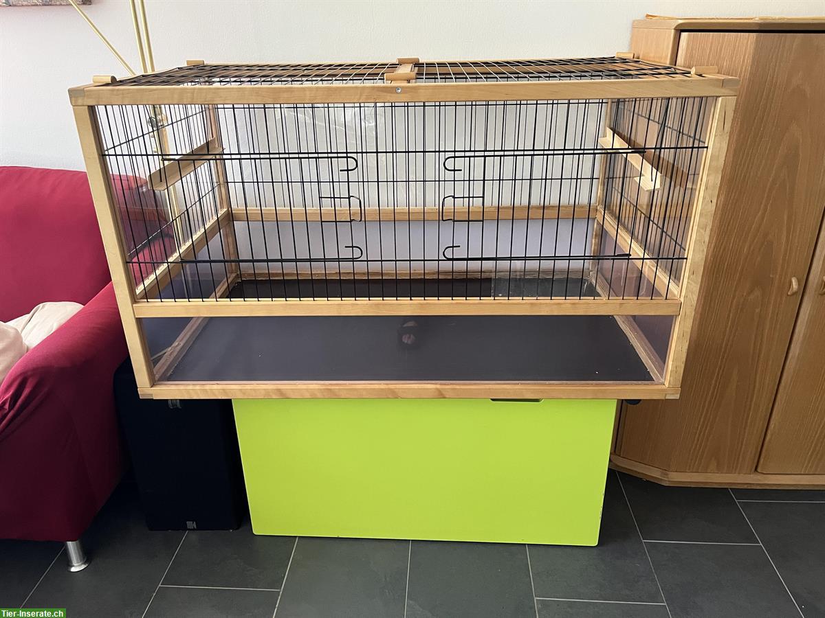 Bild 2: Meerschweinchen Gehege - indoor zu verkaufen