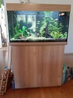 Aquarium Juwel Rio 125l komplett mit Schrank & Fische