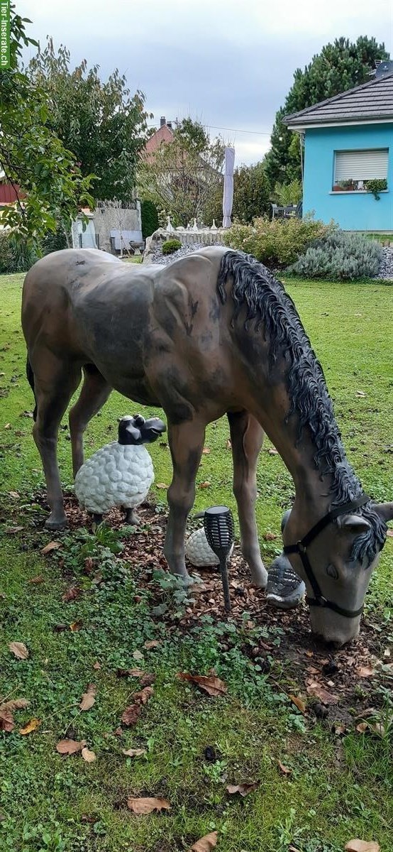 Bild 3: Bronze Pferd lebensgross zu verkaufen