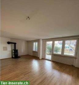 Bild 3: Suche Nachmieter für schöne 2.5 Zimmer Wohnung, Wetzikon ZH