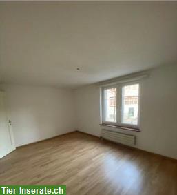 Bild 5: Suche Nachmieter für schöne 2.5 Zimmer Wohnung, Wetzikon ZH