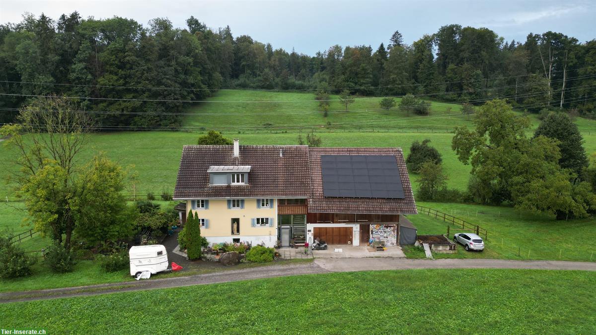 Bild 2: Bauernhaus & Scheune, Garten & Weiden, geeignet für Pferdehaltung