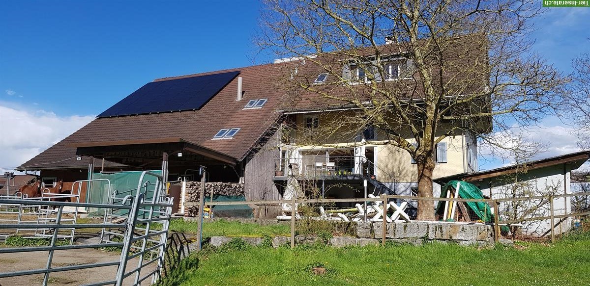 Bild 3: Bauernhaus & Scheune, Garten & Weiden, geeignet für Pferdehaltung