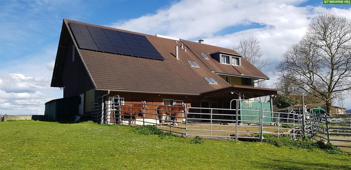 Bild 4: Bauernhaus & Scheune, Garten & Weiden, geeignet für Pferdehaltung