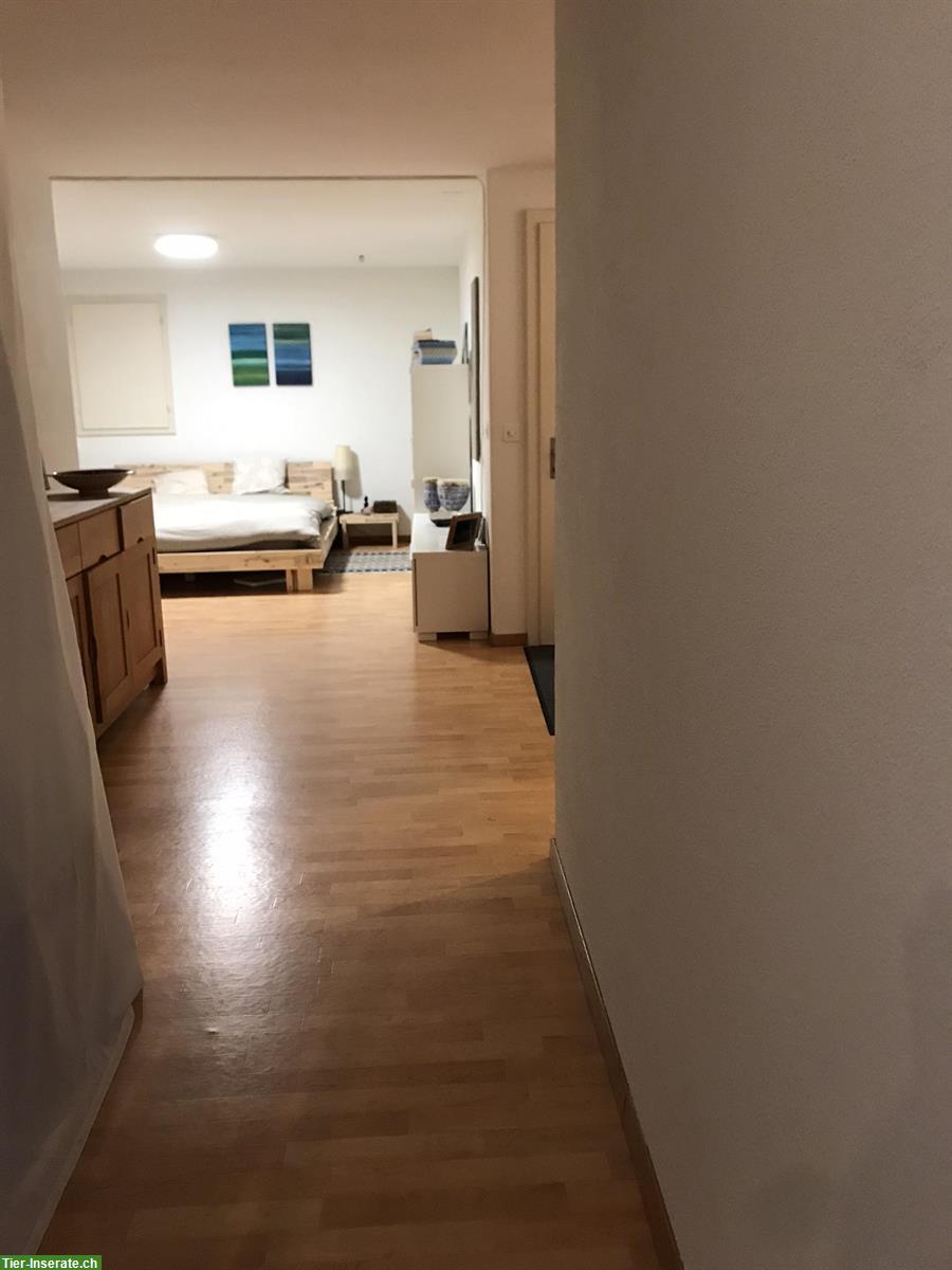 Bild 2: Biete Einliegerwohnung in WG nahe Zürich & Naherholung