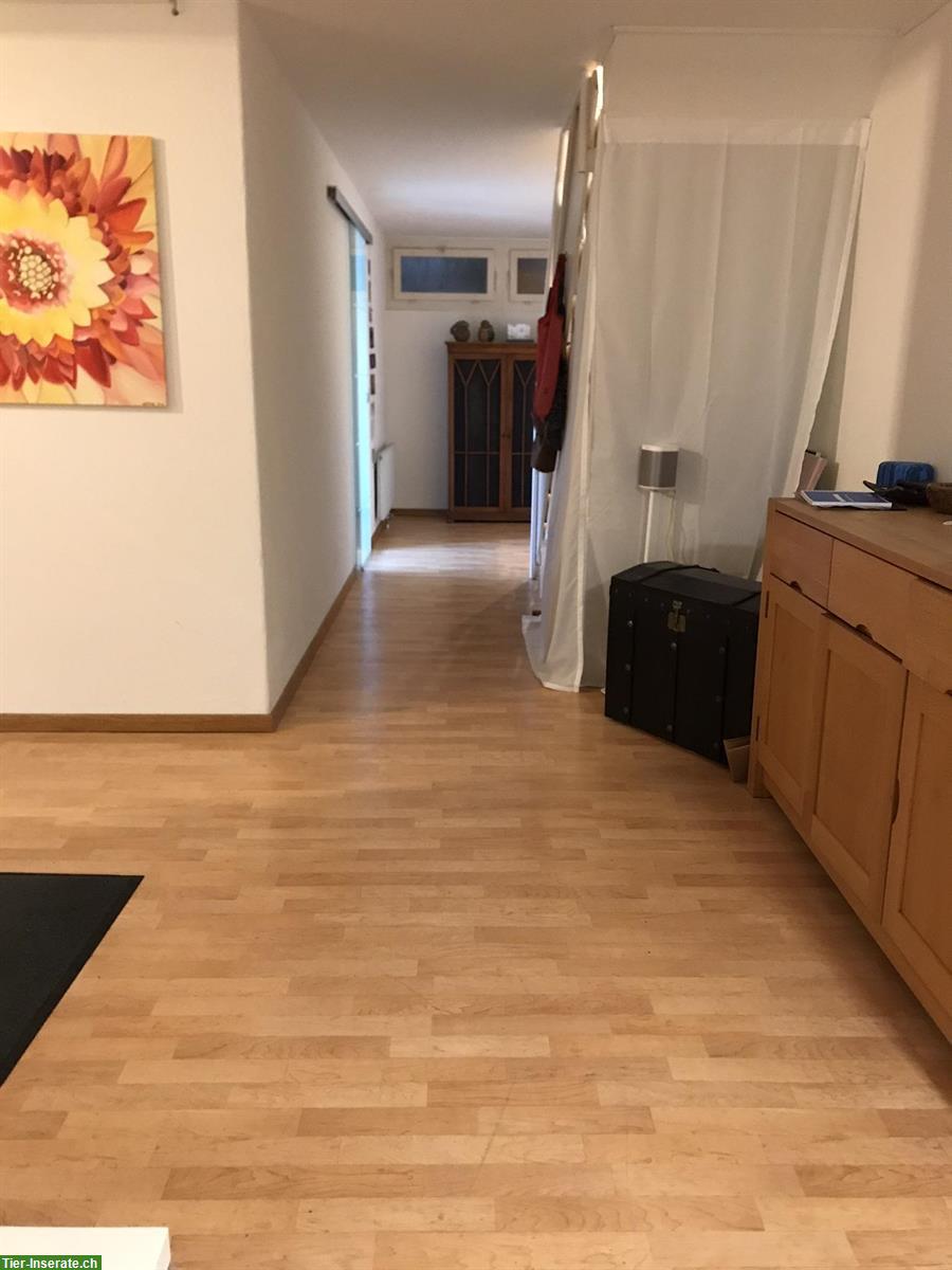 Bild 3: Biete Einliegerwohnung in WG nahe Zürich & Naherholung